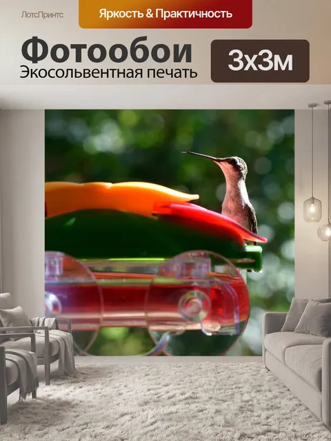Фотообои Колибри на фоне фидера
