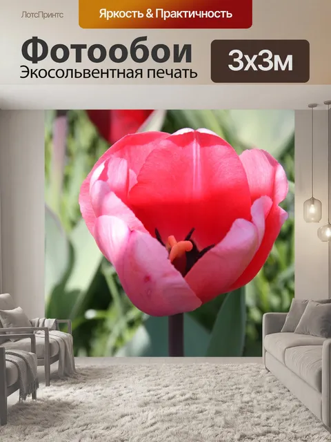 Фотообои Весна