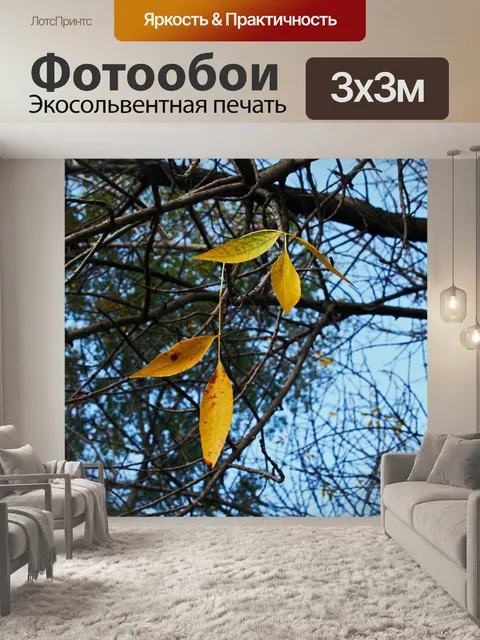 Фотообои одиночные желтые листья