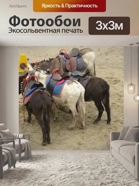 Фотообои Приморский