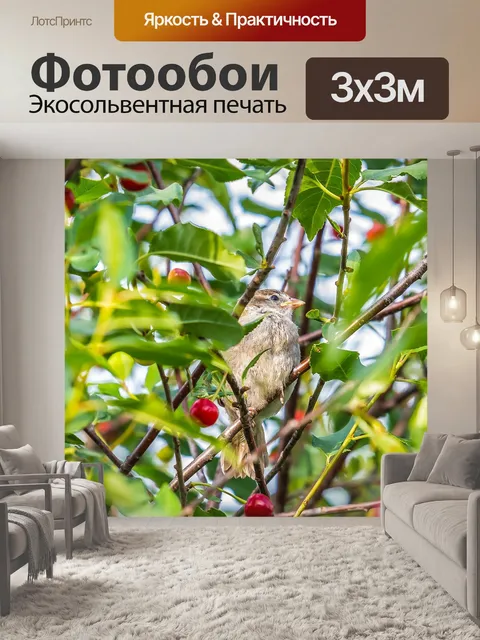 Фотообои Птицы