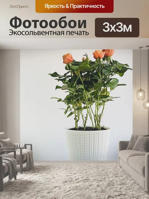 Фотообои Розы
