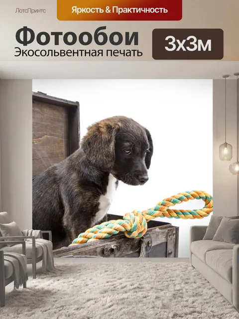 Фотообои Щенок с чемоданом