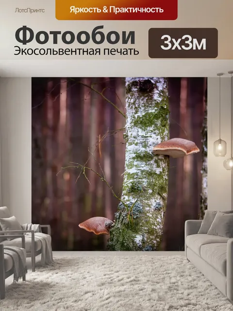 Фотообои Лес