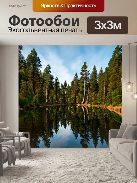 Фотообои лес с спокойным озером в центре