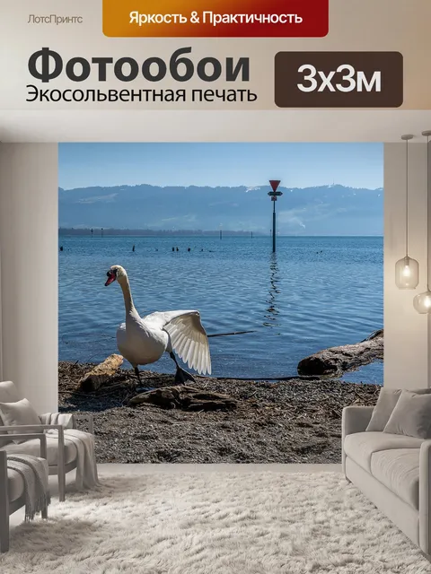 Фотообои Природа