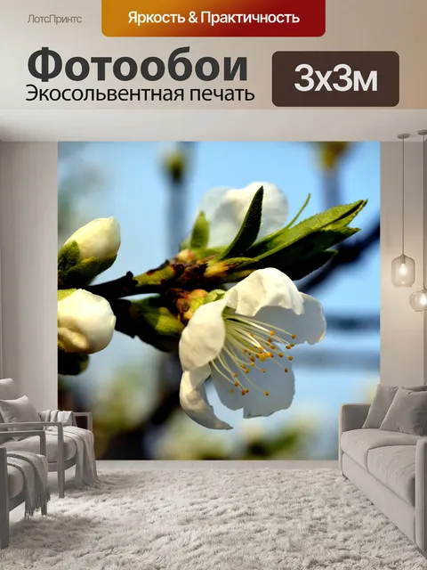 Фотообои Peach Blossom