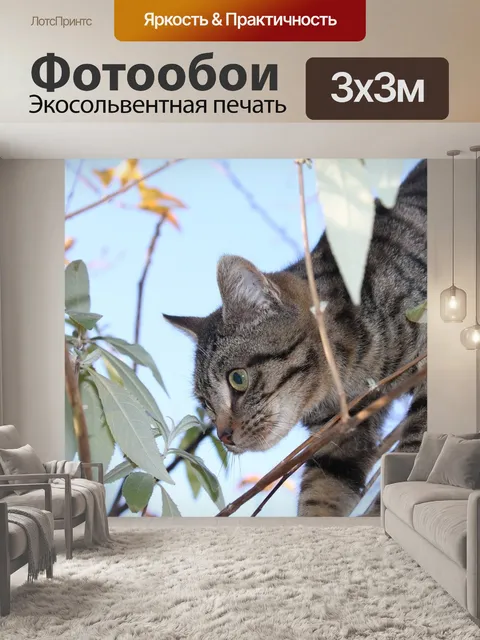 Фотообои Кошка