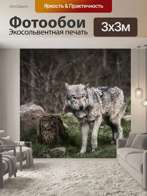 Фотообои Волк