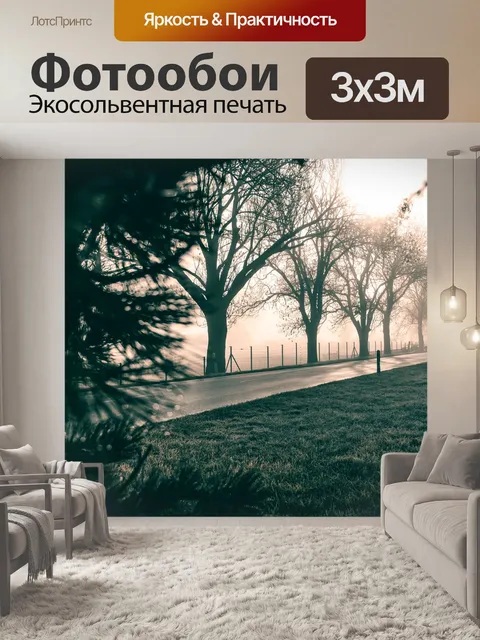 Фотообои Деревья
