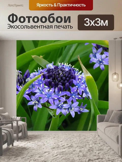 Фотообои Весенние цветы