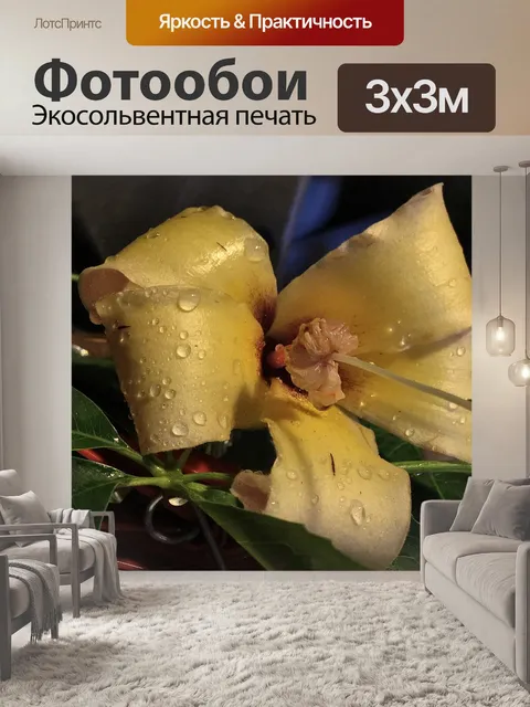 Фотообои Желтый цветок