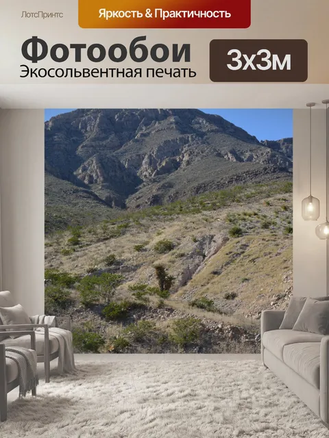 Фотообои Государственный парк Franklin Mountains