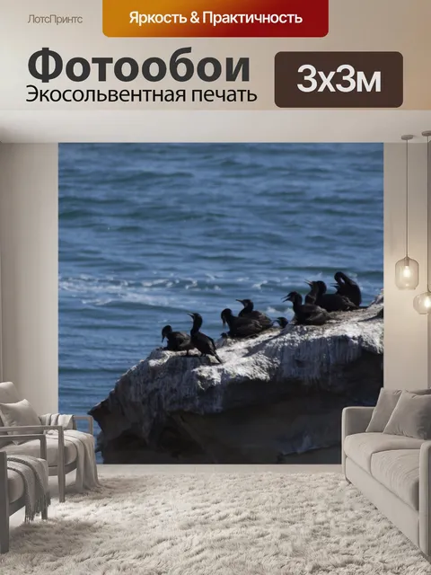 Фотообои Бакланы