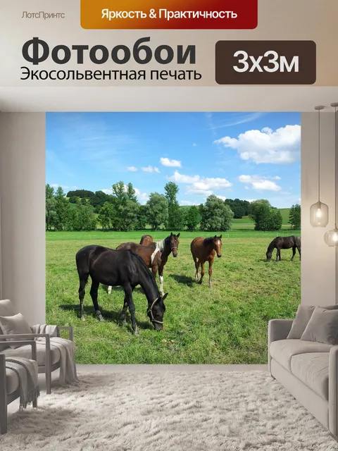 Фотообои Лошади