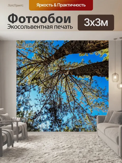 Фотообои Сосновый лес, Пан Унг, Мэй Хонг Сон