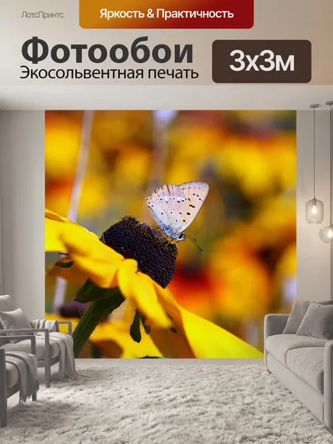 Фотообои Бабочка