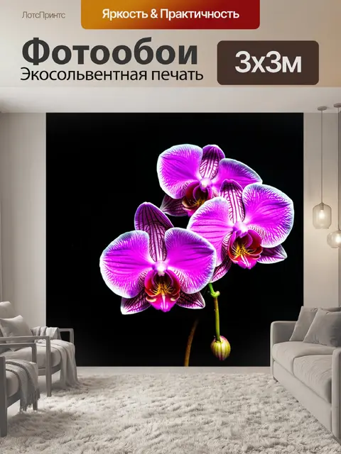Фотообои цветы, ярко-розовые орхидеи на черном фоне, создающие контраст и элегантность