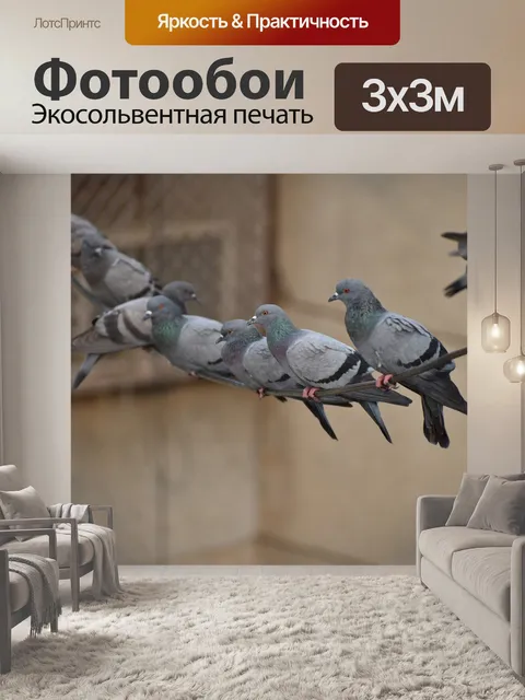 Фотообои Линии голубей