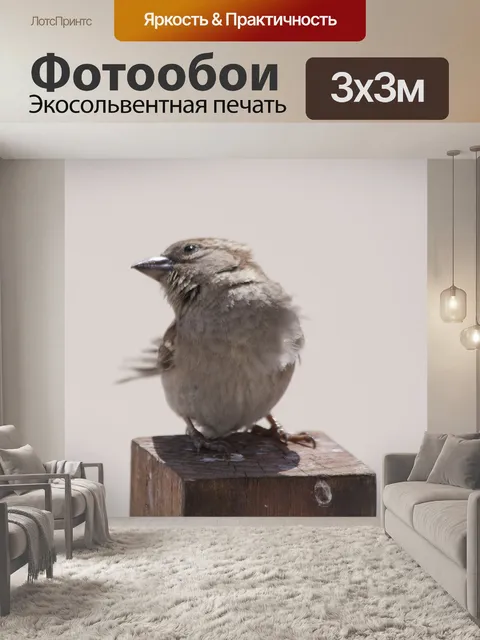 Фотообои Птица