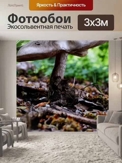 Фотообои Лесные грибы