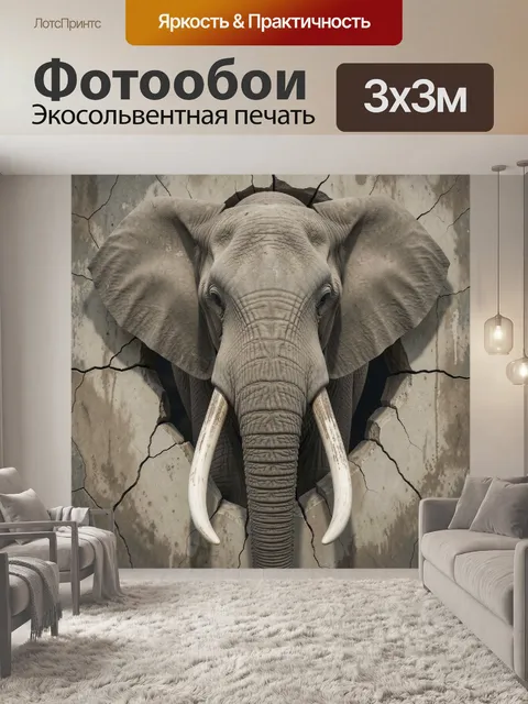 300 × 300 см · Экосольвентная печать