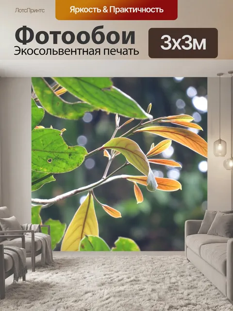 Фотообои Листья