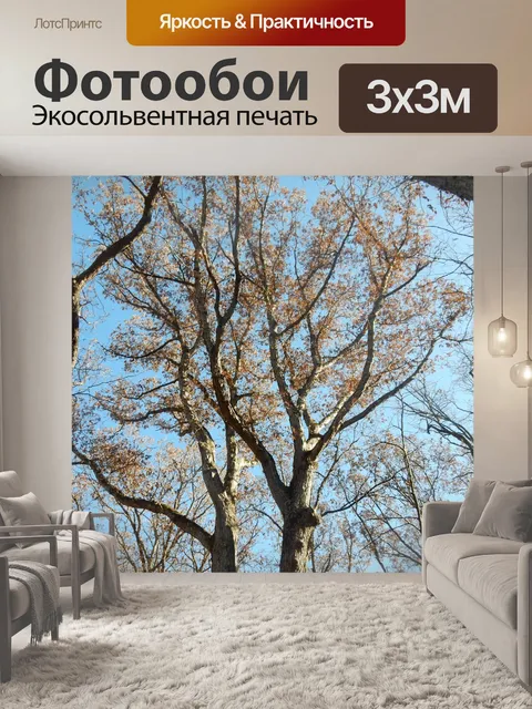 Фотообои Лесной 1