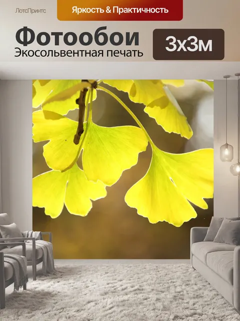 Фотообои Гинкго