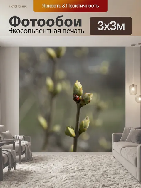 Фотообои Бутоны