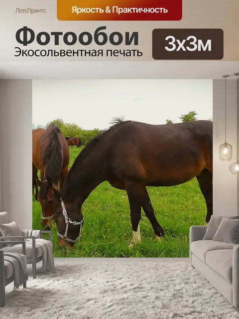Фотообои Лошади