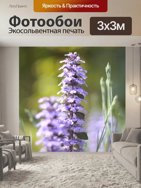 Фотообои Цветы