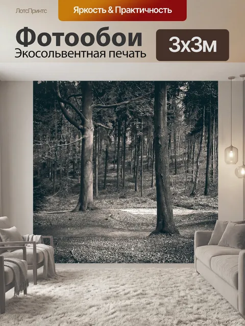 Фотообои Лес
