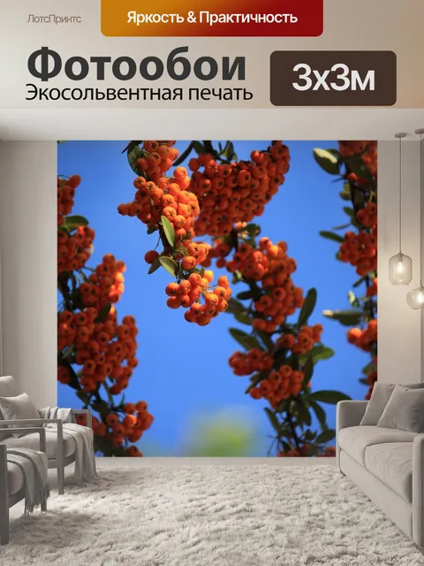 Фотообои Фрукты