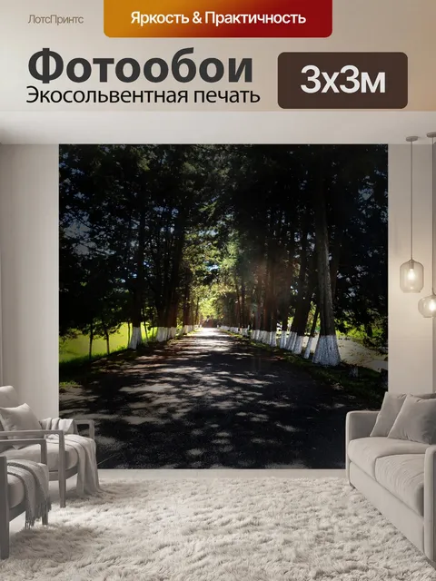 Фотообои Путь