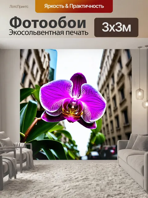 Фотообои орхидея на фоне городской архитектуры