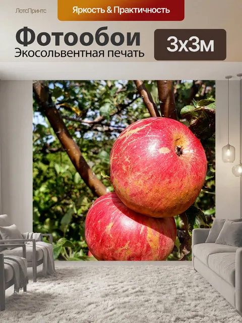 Фотообои Дикие яблоки 1