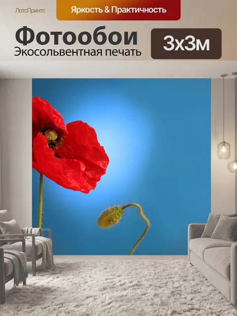 Фотообои Мак