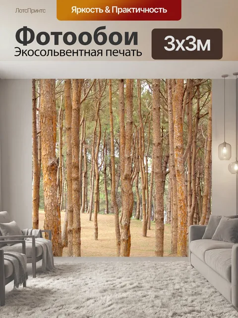 Фотообои Сосновый лес