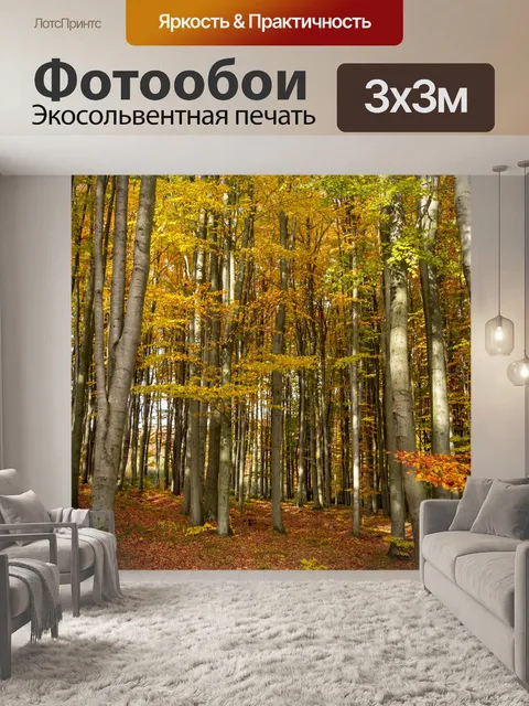 Фотообои Осенний лес