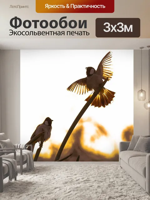 Фотообои Птица