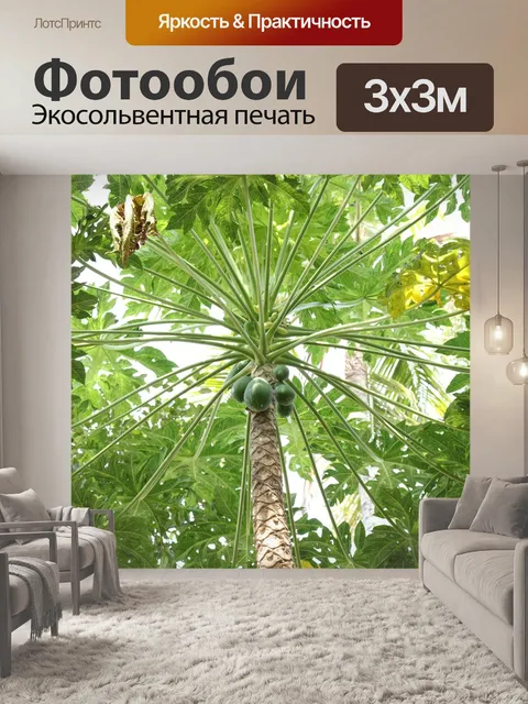 Фотообои Папайя