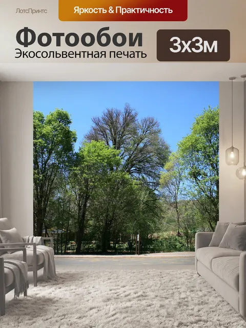 Фотообои Ряд деревьев