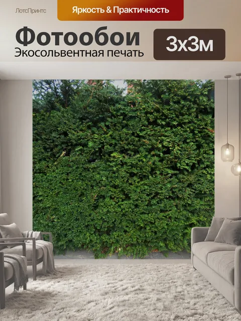 Фотообои Живая изгородь
