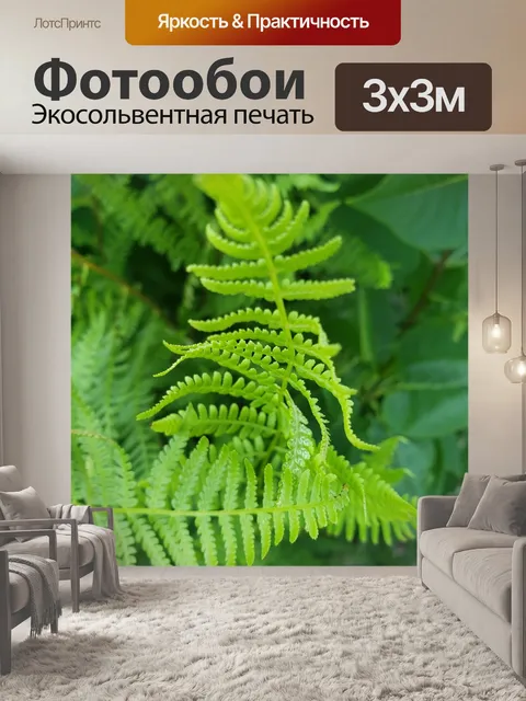 Фотообои Папоротник