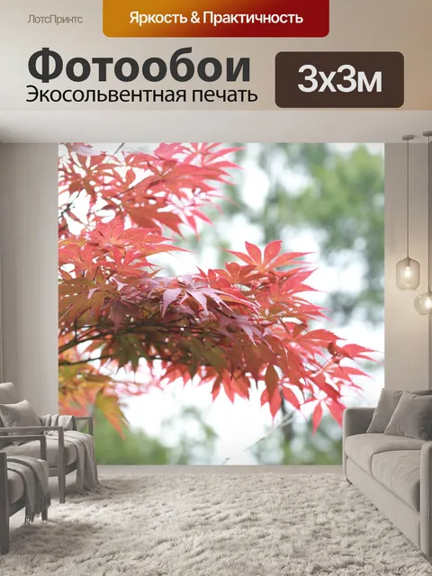 Фотообои Клен