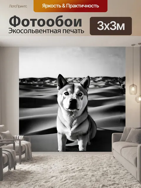 Фотообои на фоне пустынного ландшафта