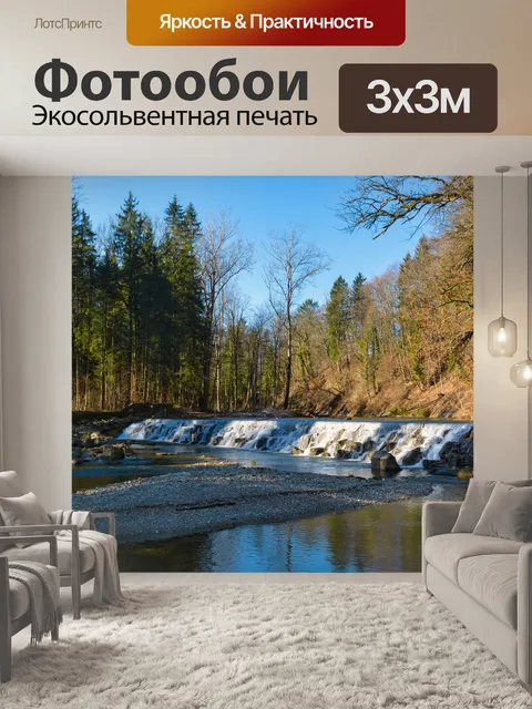 Фотообои Лес