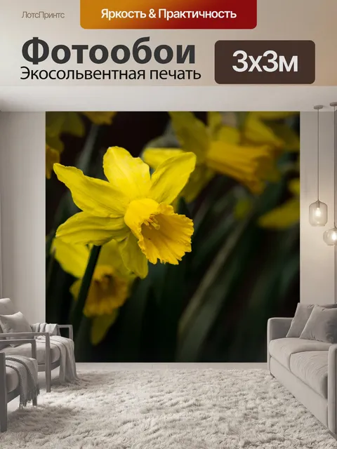 Фотообои Нарцисс, пасхальная лилия, желтый цветок