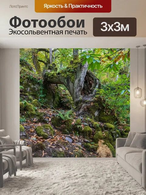Фотообои Природа